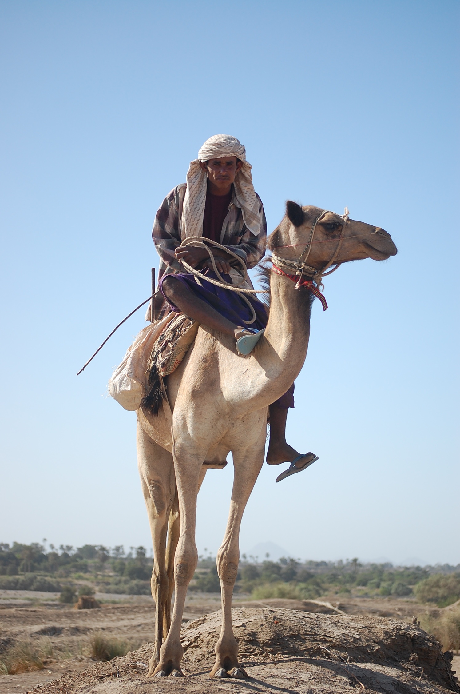 blog 62-Yemen-camel herder