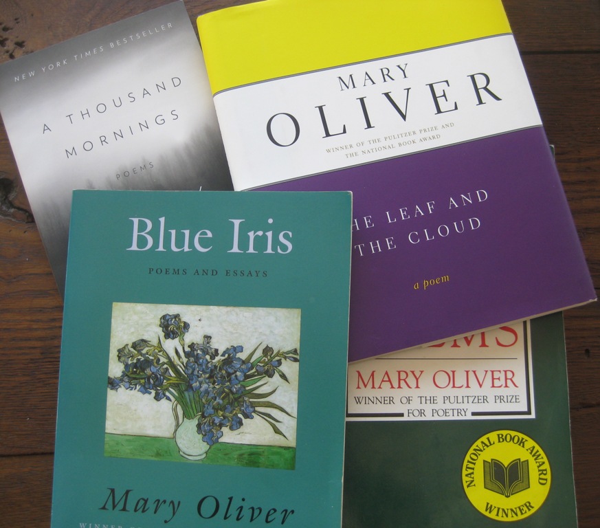 blog 67-mary oliver books
